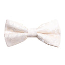 Boys Paisley Bow Tie