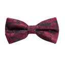 Assorted Paisley Bow Tie