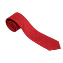 Flower Dotted Boys Tie