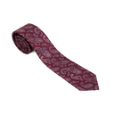 Assorted Paisley Boys Tie