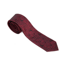 Assorted Paisley Boys Tie