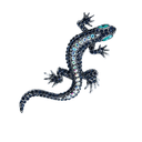 Animal lapel pin Navy Lizard