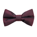 Boys Matte Bow Tie