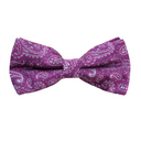 Assorted Paisley Bow Tie