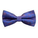 Assorted Paisley Bow Tie