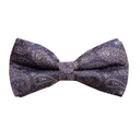Assorted Paisley Bow Tie