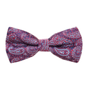 Assorted Paisley Bow Tie