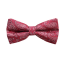 Assorted Paisley Bow Tie