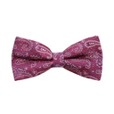 Assorted Paisley Bow Tie