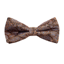 Assorted Paisley Bow Tie