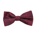Assorted Paisley Bow Tie