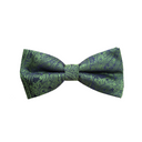 Assorted Paisley Bow Tie