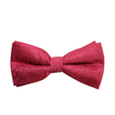 Assorted Paisley Bow Tie