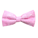 Assorted Paisley Bow Tie
