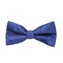 Assorted Paisley Bow Tie