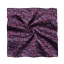 Assorted Paisley Pocket Square