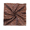 Assorted Paisley Pocket Square