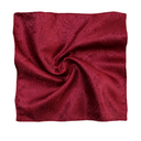 Assorted Paisley Pocket Square