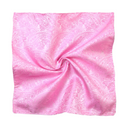 Assorted Paisley Pocket Square