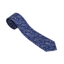 Assorted Paisley Ties