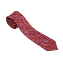 Assorted Paisley Ties