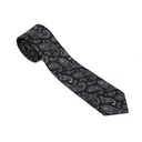 Assorted Paisley Ties