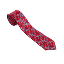 Assorted Paisley Ties