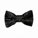 Boys Paisley Bow Tie