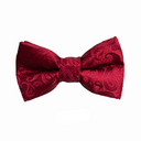 Boys Paisley Bow Tie
