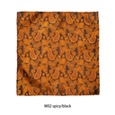 Assorted Paisley Pocket Square