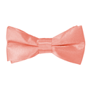 Boys Satin Bow Tie