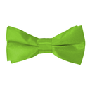 Boys Satin Bow Tie