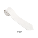 Assorted Paisley Ties